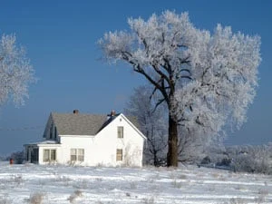 A white house sits in a snowy landscape beside a large tree covered in frost, under a clear blue sky.