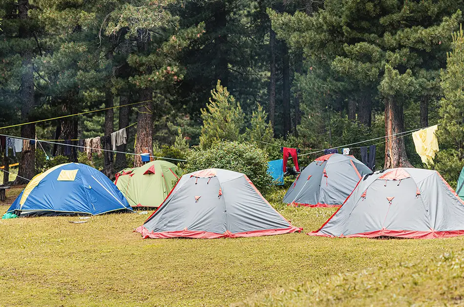 A pop-up campsite in the forest