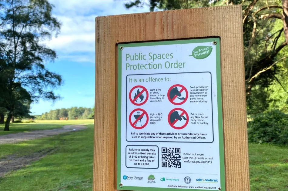 A wooden sign in a park displays rules: no feeding or touching ponies, donkeys, or horses, no fires or barbecues, and fines for breaches. A grassy field and trees are visible in the background under a blue sky.